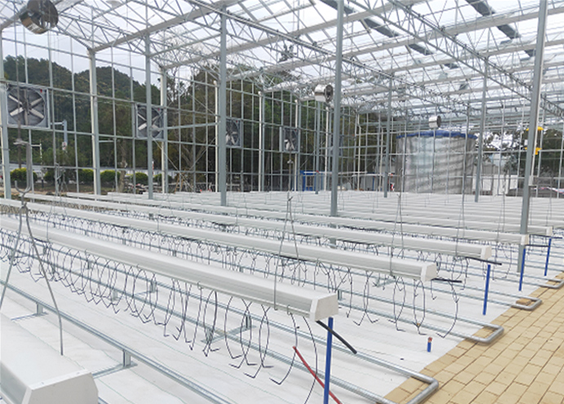 番茄等茄果類栽培槽種植系統